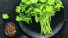 ZAČIN I ČISTAČ ORGANIZMA Kineski peršun pomaže kod dijabetesa, a može da smanji bolove i upale