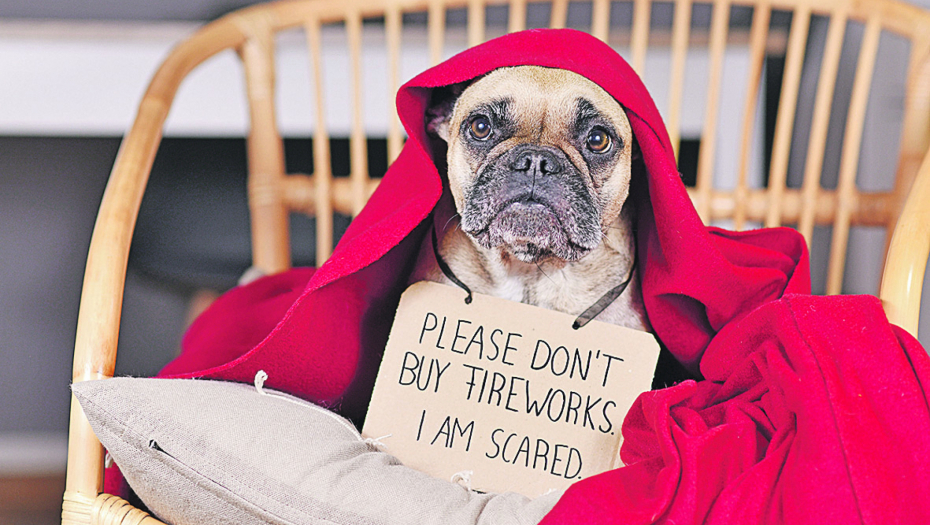 DOK MI UŽIVAMO, ONI PATE Ovi trikovi će vam pomoći da sačuvate kućne ljubimce od petardi i vatrometa