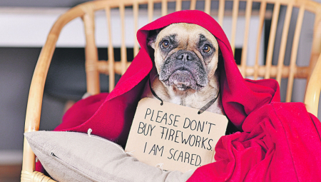 DOK MI UŽIVAMO, ONI PATE Ovi trikovi će vam pomoći da sačuvate kućne ljubimce od petardi i vatrometa