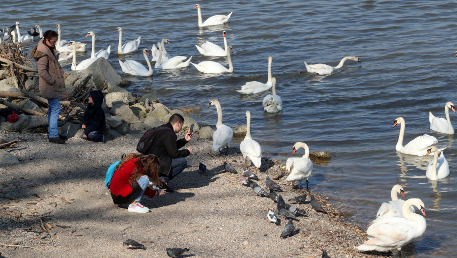 EVROPU HVATA PANIKA! Ovako visoke temprature usred zime mobu da znače samo jedno!
