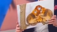BRUKA I SRAMOTA Danci uživo na televiziji uporedili Marokance i njihove majke sa majmunima (VIDEO)