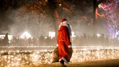 NE VREDE LAMPICE I UKRASI Amerikanci imaju problem