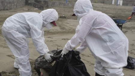 POŠAST Evropu drma epidemija zbog koje je pobijeno 50 miliona živine! Kuca li ptičji grip i na naša vrata?