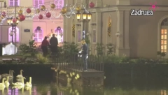 MILJANA ZAJEDNO SA ZOLOM OBIŠLA BEBICU A on tuguje uz prizor labudova, Nenad u ponoru...