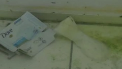 ULOŠCI I MOKRAĆA PO PODU Šok prizori u Zadruzi zgrozili javnost (FOTO)