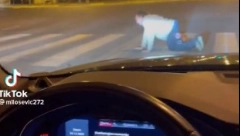 NIJE SMEŠNO LJUDI! Nestvaran snimak iz Beograda, čovek puzeći prelazi ulicu, reakcije prolaznika šokantne
