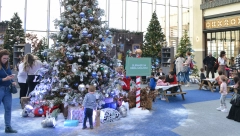 PRAZNIČNA ČAROLIJA U BAJKOVITOM AMBIJENTU Deca iz Beograda, unutrašnjosti i iz regiona u Božićnom selu u TC Galerija