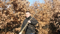 CRKVENI KALENDAR Badnji dan – priprema za proslavu Božića