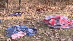 KO JE VLASNIK PASA KOJI SU RASKIDALI VLADANA Na robiji je zbog droge, a evo ko se za to vreme brinuo o njegovim ljubimcima!