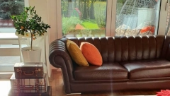 OVA SPRAVICA OD 200 DINARA REŠAVA SVE  OČisti od poda do plafona uklanja i najupornije dlake sa pločica, bez dodirivanja