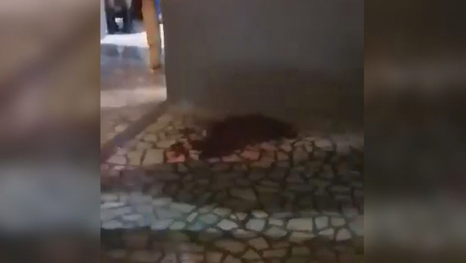 KRVAVI OBRAČUN U PRIBOJU Obezbeđenje noćnog kluba izbodeno nožem