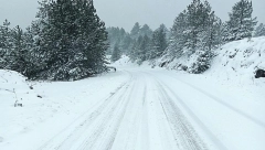 SNEG U JANUARU IZNENADIO SLOVENCE Obilne snežne padavine tokom noći, putevi blokirani