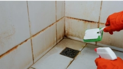 ANIN TRIK ŽENE MASOVNO DELE Pojavila joj se odvratna buđ u tuš kabini, a ona je uništila preko noći