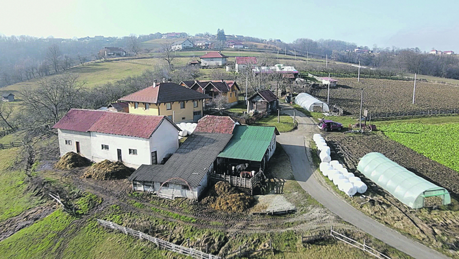 PREVARANTI OJADILI MILOLJUBA "Uzeli su tri miliona na moje ime"
