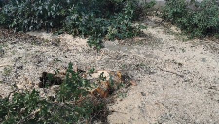 TRAGEDIJA IZBEGNUTA SAMO PUKOM SREĆOM! Stravično nevreme pogodilo Čačak (FOTO)