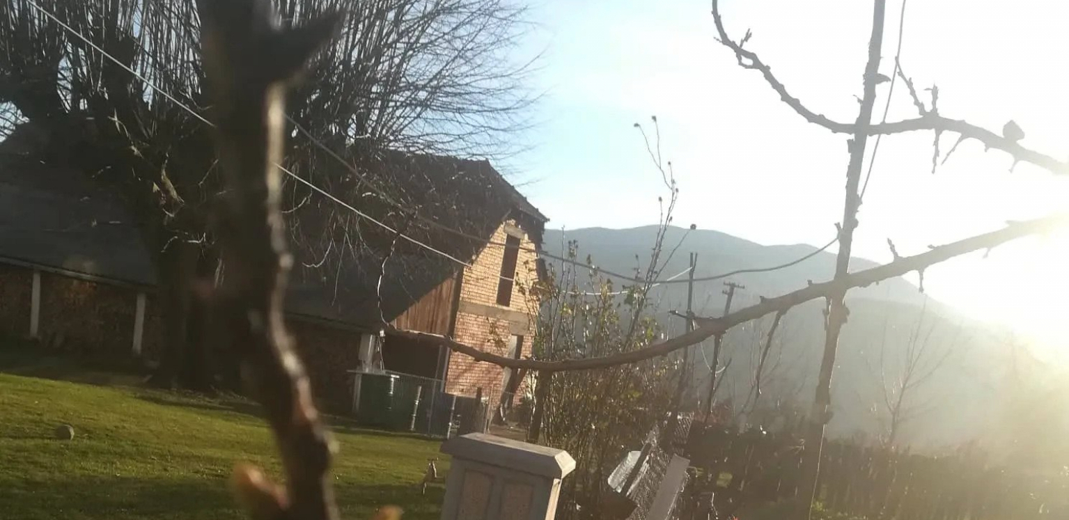 VOĆNJACI SU UNIŠTENI, MATERIJALNA ŠTETA JE VELIKA Ovo selo u Srbiji zadesila je strašna nevolja