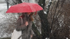 KIŠA, SNEG, POLEDICA, TEMPERATURA U MINUSU Nestabilno vreme danas u Srbiji, da li su ovo zadnji trzaji zime?