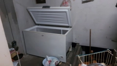 DANAS OBDUKCIJA TELA BEBE PRONAĐENE U ZAMRZIVAČU Majka privedena i saslušana u svojstvu građanina!