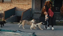 OSTVARUJE SVOJ SAN Ražnatović ulaže bogatstvo u životinjsko carstvo