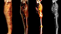 ŠOK OTKRIĆE U EGIPTU Misteriozna mumija deteta sa zlatnim srcem