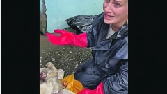 DRŽALI ZAMRZNUTE LEŠEVE PASA! Jezive scene iz Bora