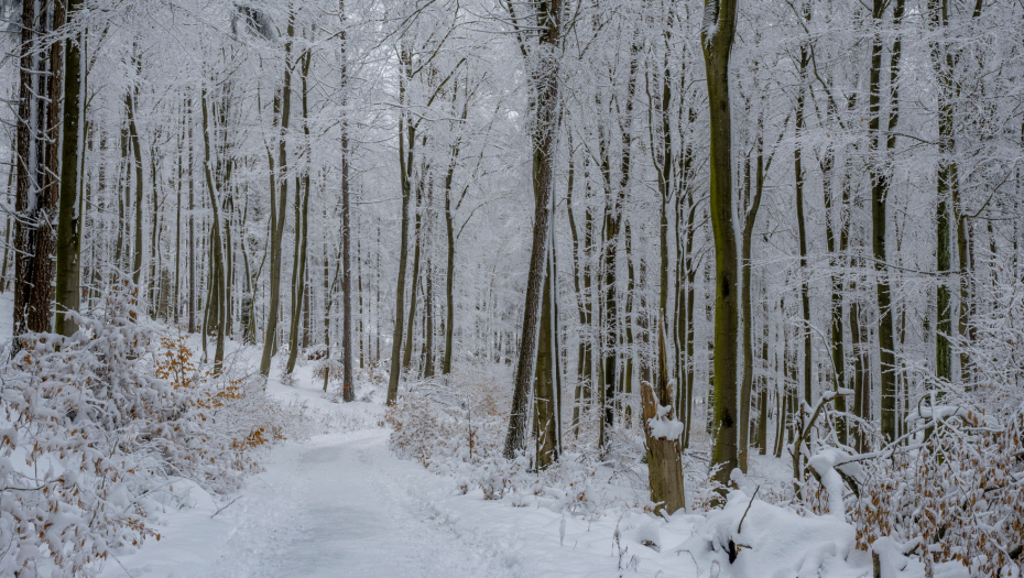 VIKEND HOROSKOP Ljubav i prijateljstvo se mogu lepo spojiti, uznemirenost i zbunjenost će vas dodatno demoralisati