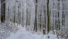 VIKEND HOROSKOP Ljubav i prijateljstvo se mogu lepo spojiti, uznemirenost i zbunjenost će vas dodatno demoralisati