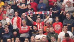 VELIKI BROJ "DELIJA" U BOLONJI Košarkaši Zvezde će imati ogromnu podršku na teškom gosotvanju (VIDEO)