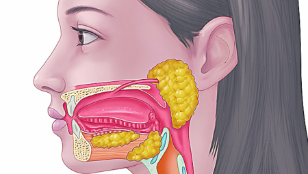 NE ZNAMO ŠTA SVE IMAMO U GLAVI Naučnici slučajno otkrili novi organ