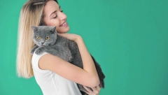 Velika greška: Mačku ne smete da dirate po ovom delu tela