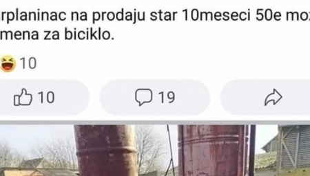 ŠOK! Prodajem psa za 50 evra, može i zamena za bicikl
