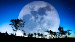 VELIKI NEDELJNI HOROSKOP Lav ulazi u nepotrebne svađe na poslu, Devica ima šansu za veći novac, Škorpiju čeka emotivni krah