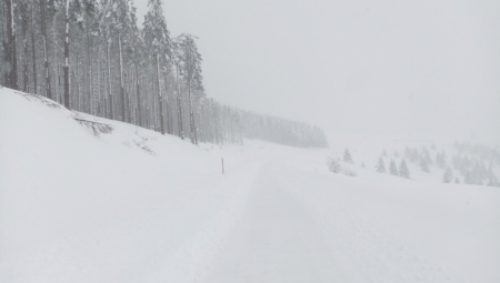 OVA PLANINA IM JE POSEBNO ZANIMLJIVA Gastarbajteri dođu na odmor u Srbiju, pa usput pazare nekretnine