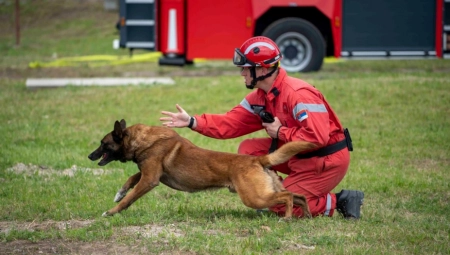 PAS IZ SRBIJE SPASAVA LJUDE U TURSKOJ Vatrogasac Zigi u akciji! (FOTO)