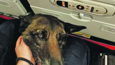 ZIGI TRAŽI PREŽIVELE U TURSKOJ! Specijalac za posebne zadatke