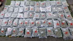 MARIHUANA U SKRIVENOM BUNKERU  Akcija policije u Kraljevu