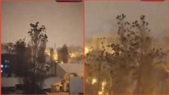 SABLASNI SNIMCI IZ TURSKE Jata ptica izbezumljeno letela pred zemotres - životinje predosetile katastrofu! (VIDEO)