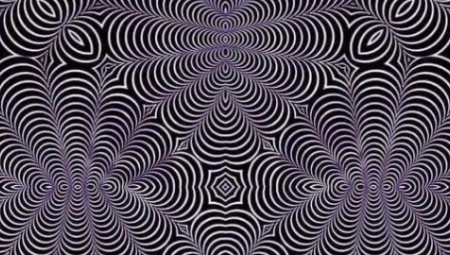 NEVEROVATNA OPTIČKA ILUZIJA Na slici se kriju dve životinje, koju vi vidite