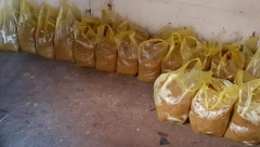 MUP ZAPLENIO OKO 300 KILOGRAMA DUVANA Pretresom dva stana u Pančevu pronađeno više od dve tone duvanskog lista