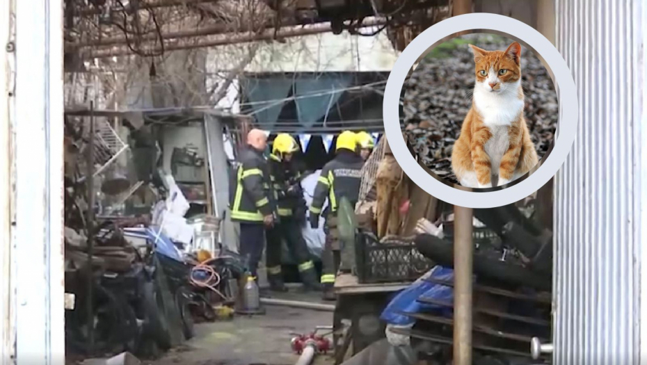 MAČKA SPASLA SVOG VLASNIKA IZ POŽARA Kućni ljubimac sprečio tragediju na Vračaru! (FOTO)