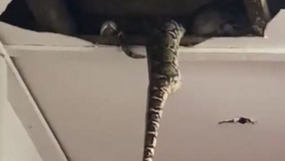 HOROR! Vatrogasci su mislili da će imati lak zadatak, a onda se plafon obrušio od njihove težine! (VIDEO)