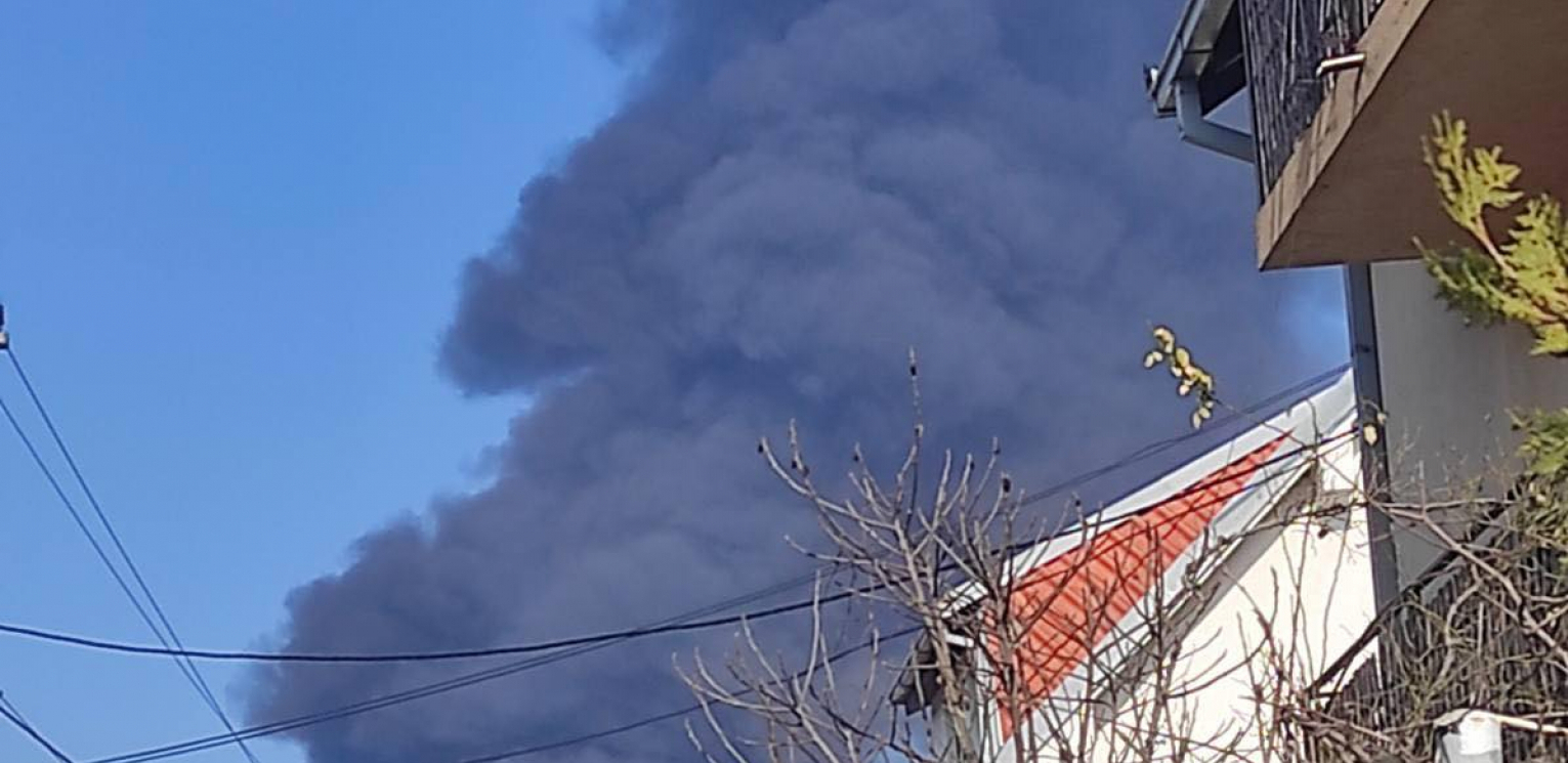 OGLASIO SE MUP POVODOM POŽARA NA GALENICI Vatrena stihija stavljena pod kontrolu, nema opasnosti od širenja