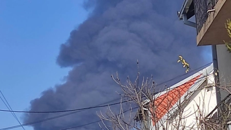 OGLASIO SE MUP POVODOM POŽARA NA GALENICI Vatrena stihija stavljena pod kontrolu, nema opasnosti od širenja