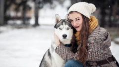 DRESURA OBAVEZNA Iako prvilačnog izgleda, sibirski haski važi za veoma tvrdoglavu pasminu izazovnu za uzgajanje