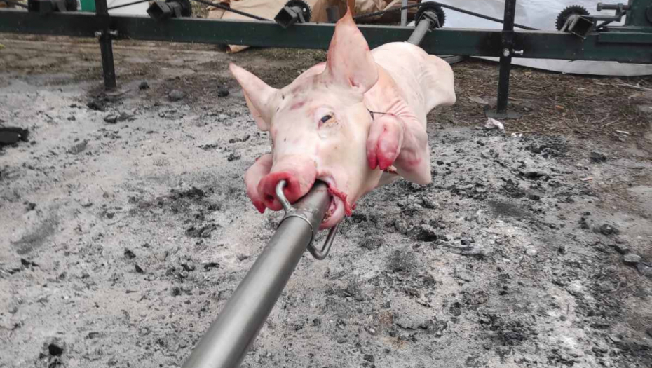 DOBILI STE POZIV ZA SVINJSKU DAĆU? Ne brinite, niko nije umro, samo tog dana nemojte ni da doručkujete!