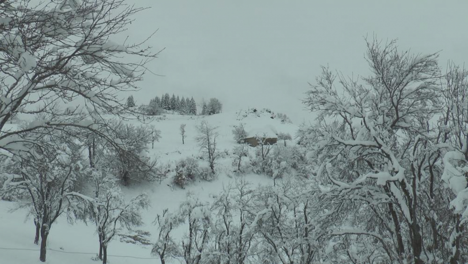 HITNO UPOZORENJE ZA OVAJ DEO SRBIJE Spustili su se među ljude - "Došli su kod škole pune dece"