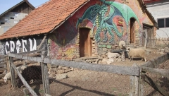 NEKE VIŠE SILE Gladni vukovi ovde ne smeju ni da priđu! Zmaj čuva ovce u selu Ruda Bukva