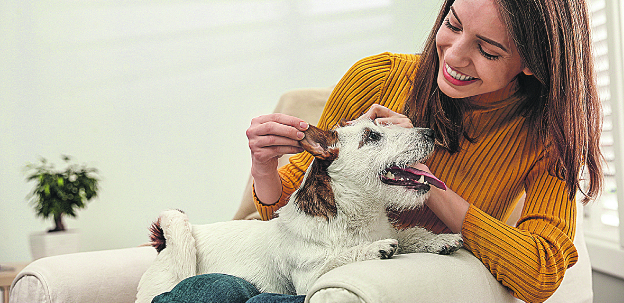 Čovekov najbolji prijatelj: Šta možemo da naučimo od psa?