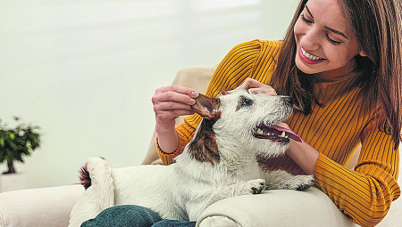 Najteže za dresuru: Ovo su najtvrodglavije rase pasa