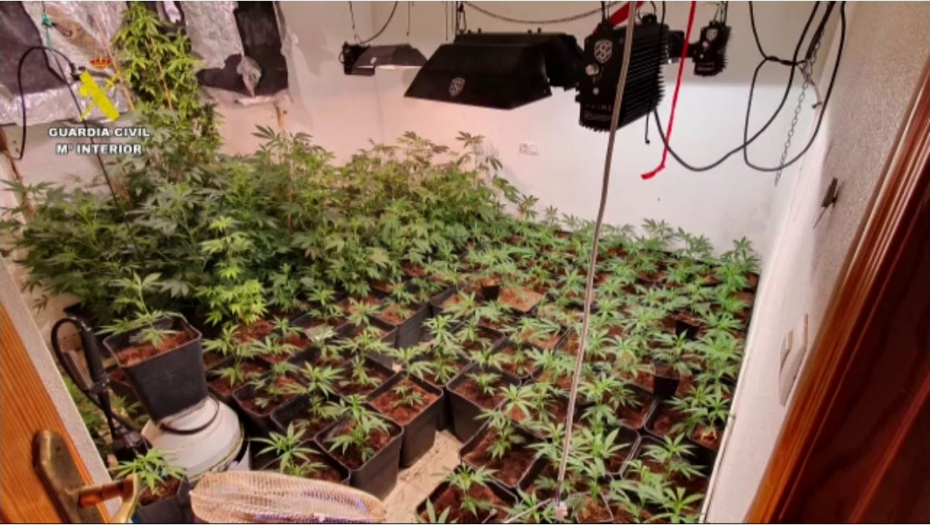 ODAO IH MIRIS I VELIKA POTROŠNJA STRUJE U okolini Madrida uhapšeni i Srbi zbog droge